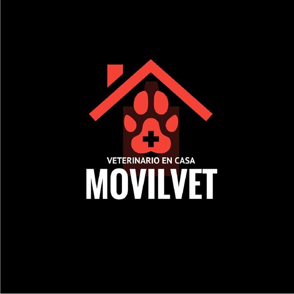 Foto de Movilvet